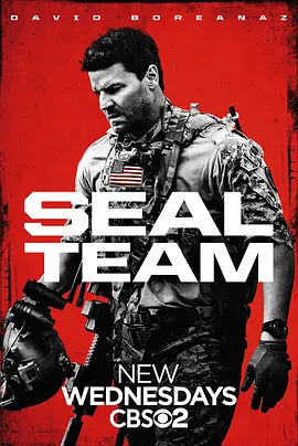 海豹第六小队SEALTeamVI